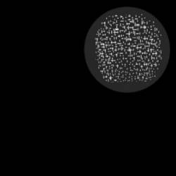 Disappears : Live at Echo Canyon